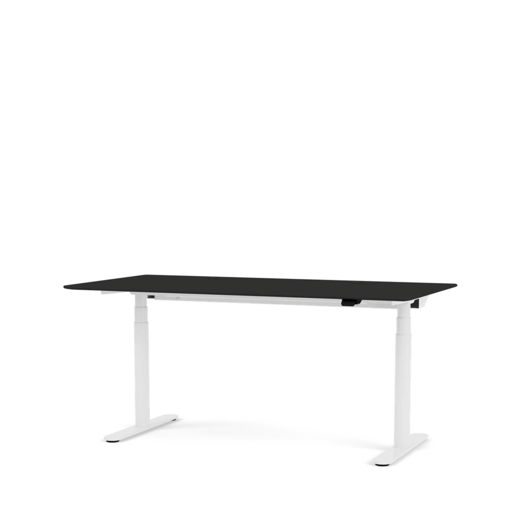 HiLow2 Desk 180x90 / Snow / Linoleum Anthracite (copy)